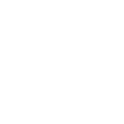 B站
